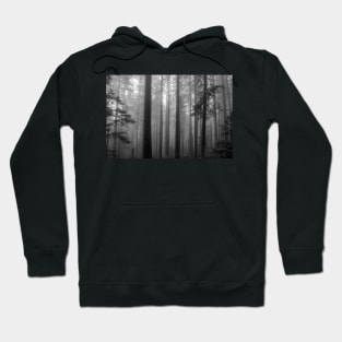 Spooky Mountainside Forest Hoodie